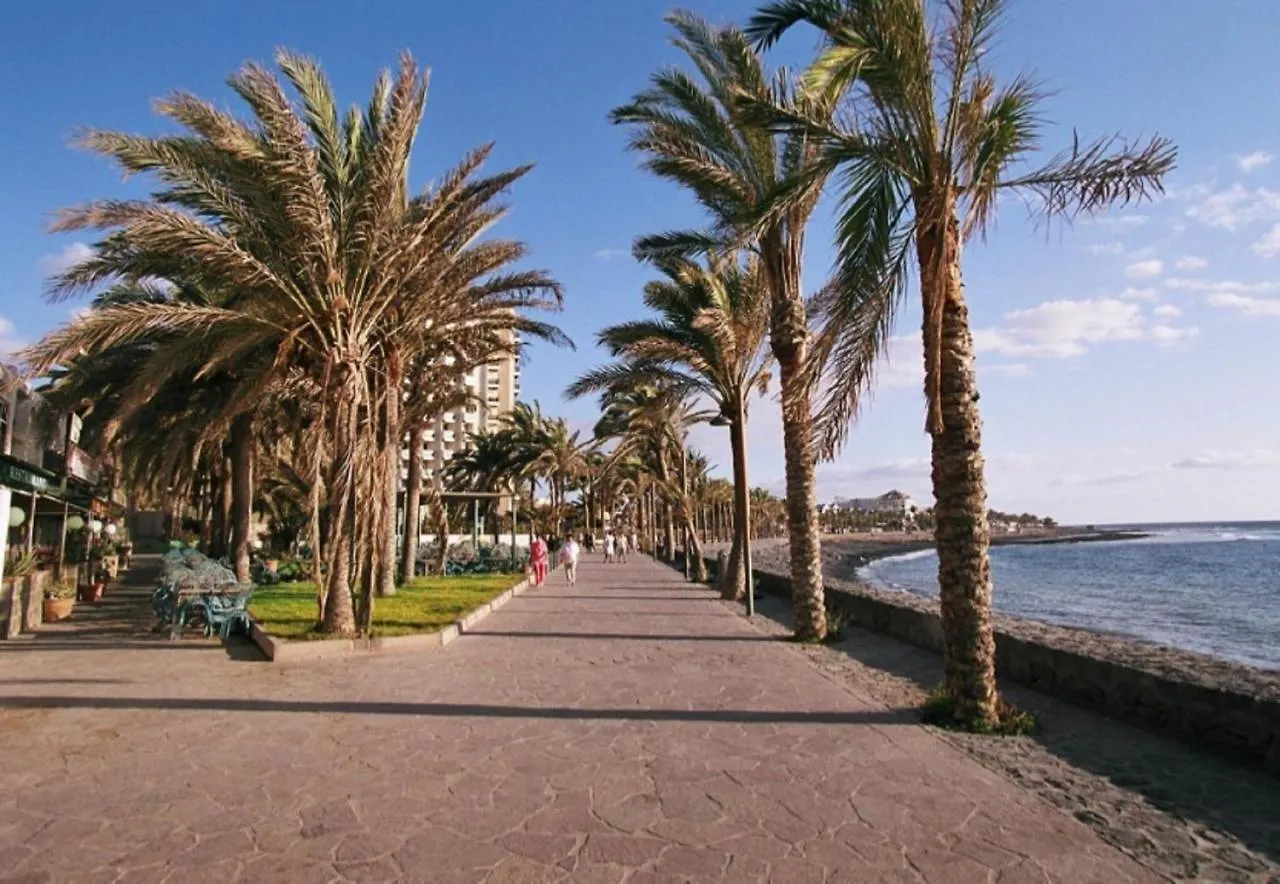 Summer Light In Playa De Las Americas شقة بلايا ذي لاس أميريكاس